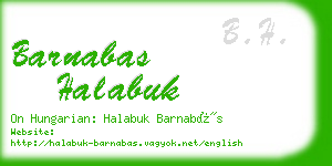 barnabas halabuk business card